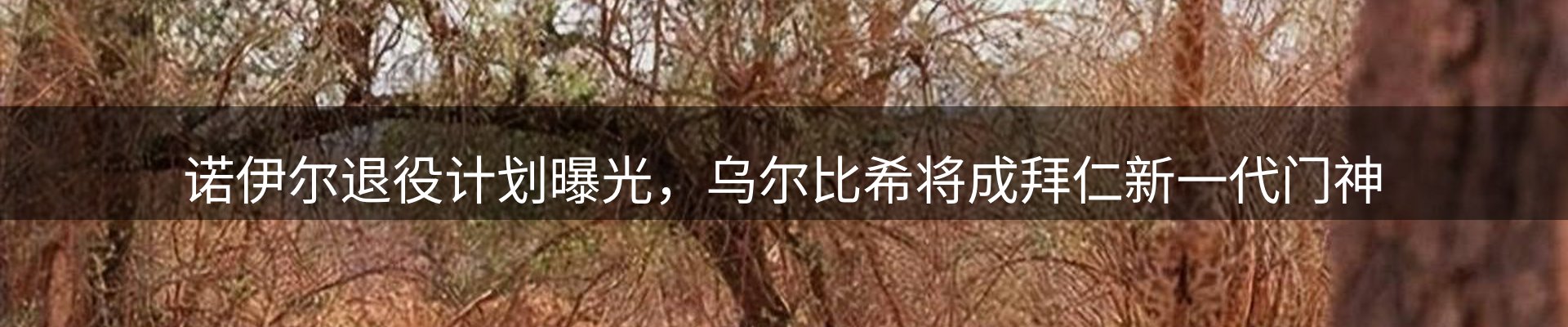 综合资讯